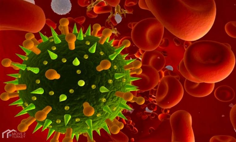 Coronavirus arrives in Turkey after the first case was recorded