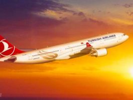 Turkish Airlines suspends flights