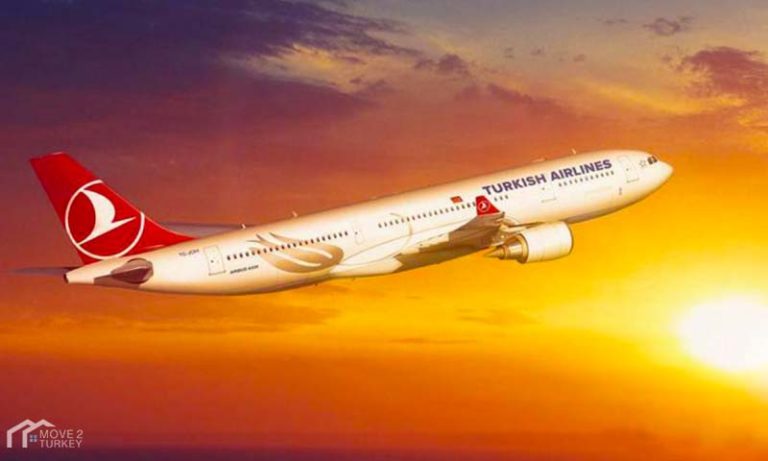 Turkish Airlines suspends flights