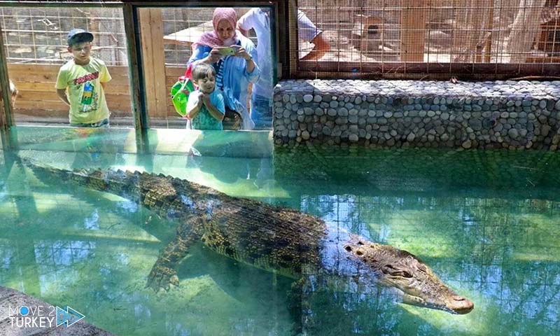 largest crocodile in turkey in Antalya zoo