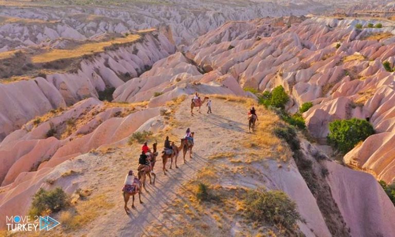 Camel tour in Cappadocia