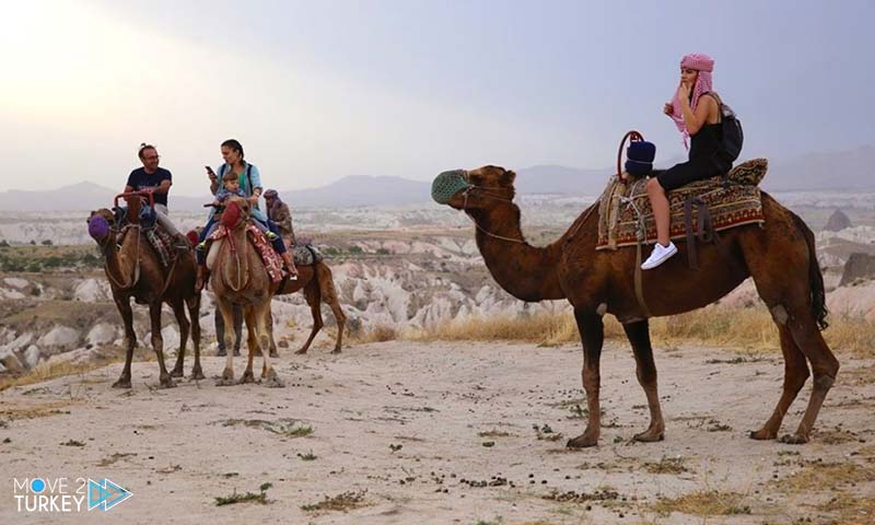 Camel tour in Cappadocia