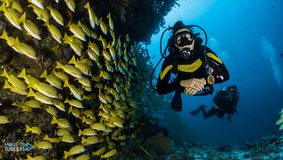 diving in Mersin