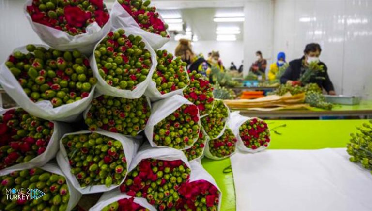 $ 7 million for exports of Valentine’s Day flowers from Turkey