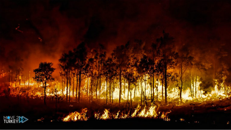 Forest fires break out in Denizli region in Turkey