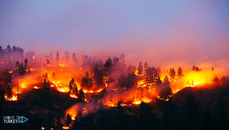 Forest fires in Kazakhstan have spread to the city