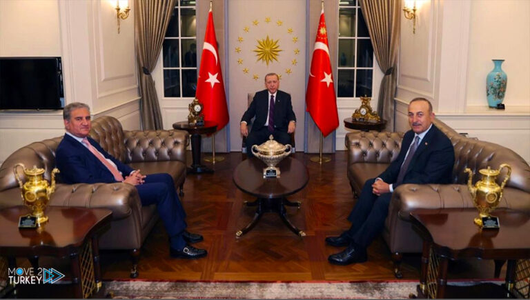 President Erdogan receives Pakistani Foreign Minister Qureshi