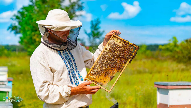 Turkey.. Honey exports exceed $ 9 million in the first third of 2021