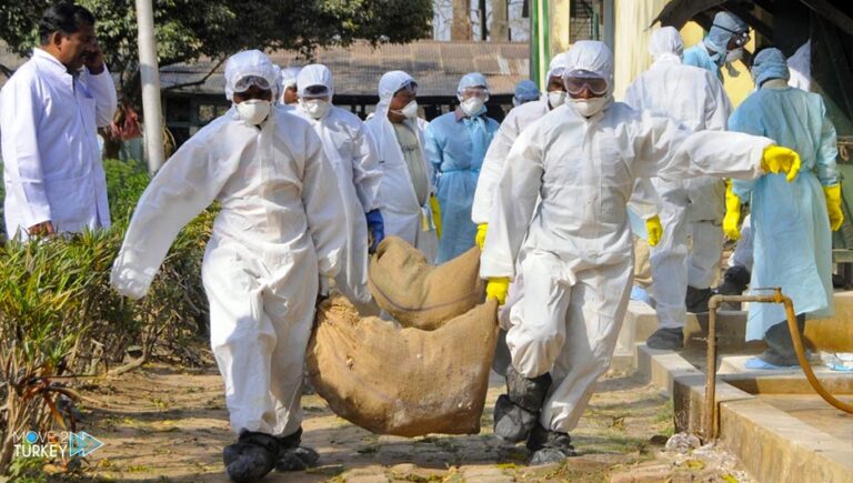 For the first time since 2019, Iraq announces the emergence of bird flu