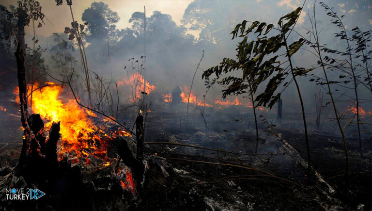 Successive forest fires occur in the Marmaris region