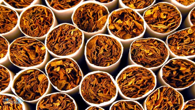 Turkey ranks first in the production of oriental tobacco