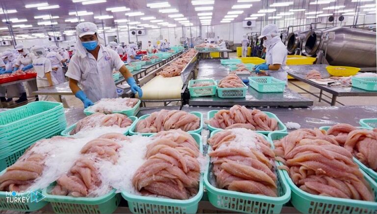 Turkey.. fish exports exceed half a billion dollars in 5 months