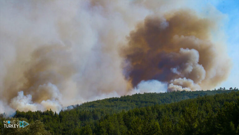 A fire occurred in the forest area in the Izmir region