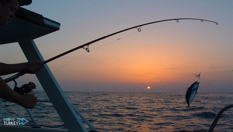 Pufferfish buying season begins in Antalya