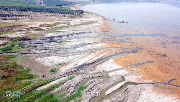 Lake Marmara is drying up, fish mortality is increasing