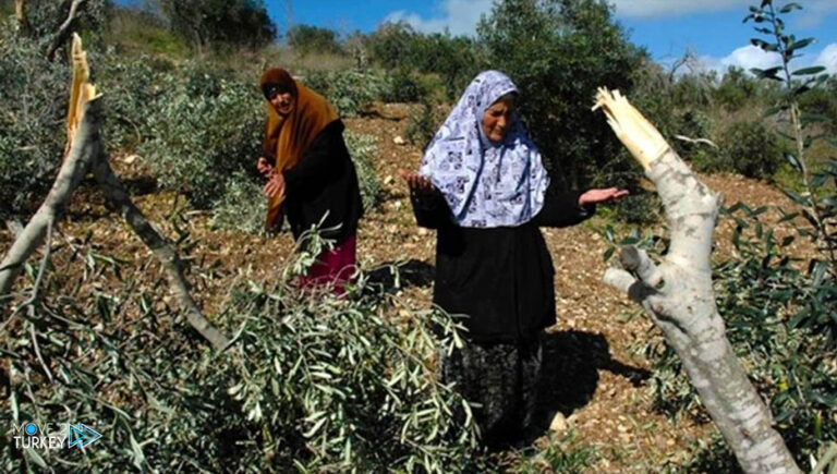 The occupation closes the headquarters of the Agricultural Work Committees