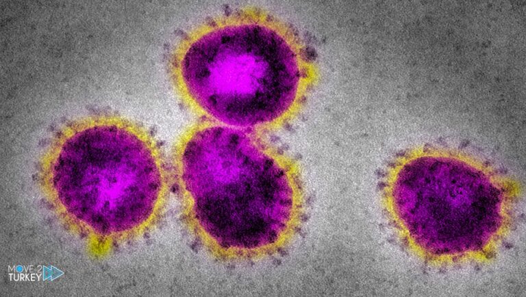 Turkey records 43 deaths from the Coronavirus