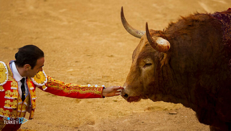 Turkish Aydin organizes traditional bullfighting festival