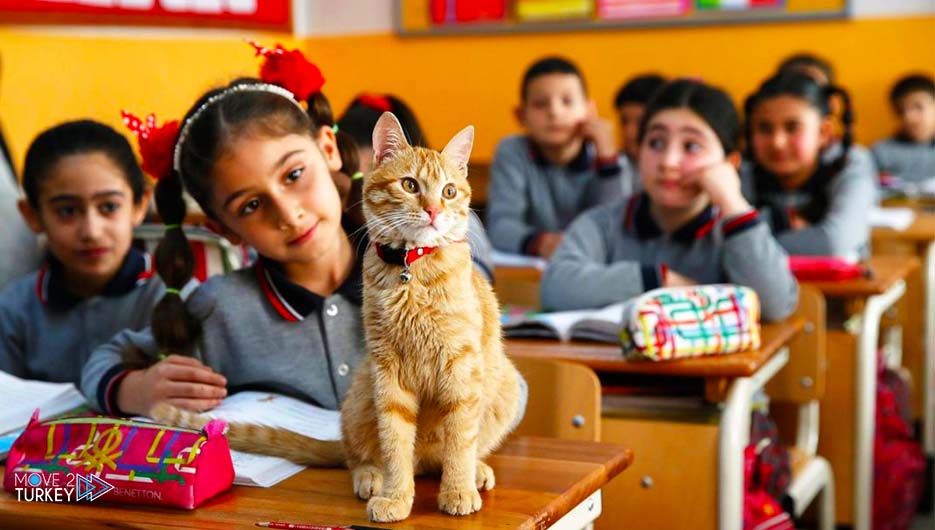 only school in turkey sussy baka school
