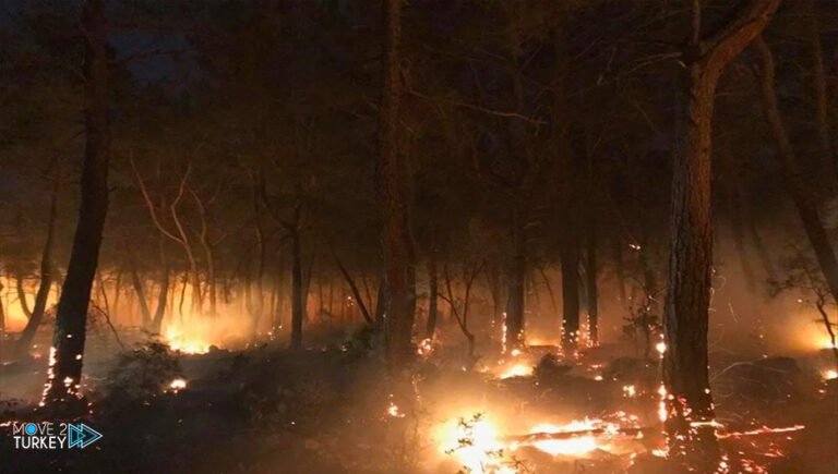 Turkey..a fire broke out in “Dalaman” in the state of Mugla