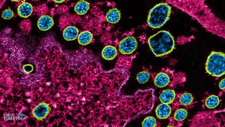 Turkey’s research on the “Mu” virus by forming other mutations