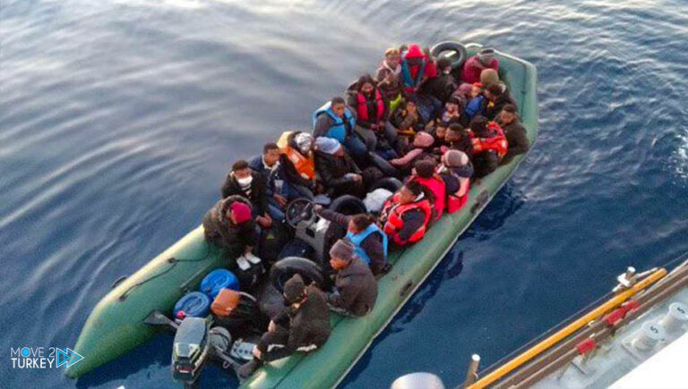 Turkish coast guard rescues 84 irregular migrants