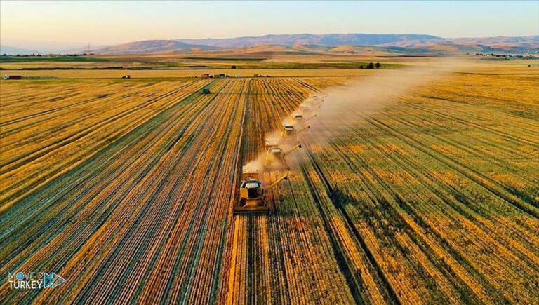 With $18 billion… Turkish agricultural exports break a record