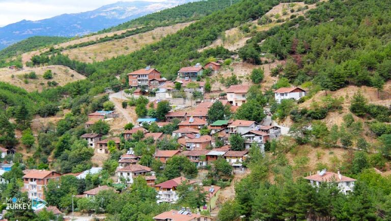 Turkey… Considering Tokat among the provinces in the blue category