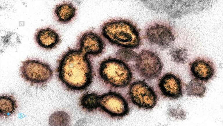 Turkey.. The number of coronavirus cases has reached more than 33,000