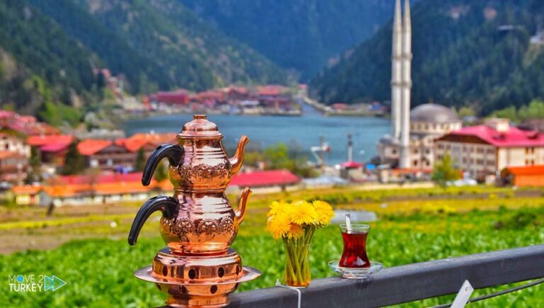 Uzungol village in Turkey – the most famous and charming natural areas to visit