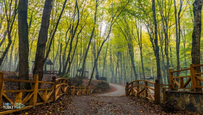 Istanbul’s forests..the city’s lung and a breathing space for tourists