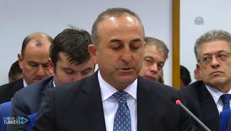 Cavusoglu discusses with his Finnish counterpart of Ukraine