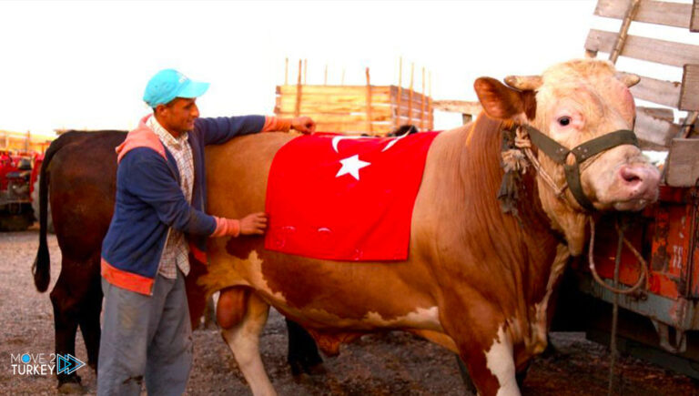 Turkey distributes sacrificial meat in 82 countries on the occasion