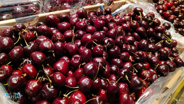 Turkey earns $129 million from cherry exports