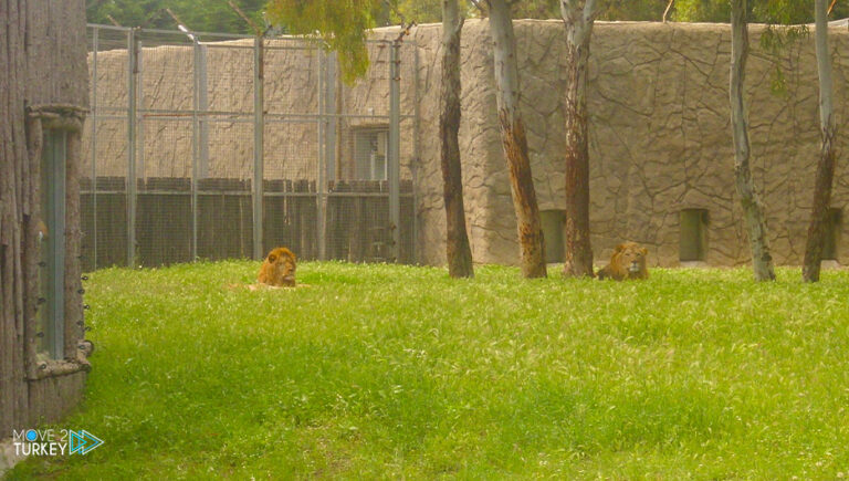 Turkish Izmir.. Natural Life Park receives half a million visitors