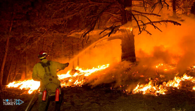 Firefighting teams are trying to put out a forest fire in western Turkey