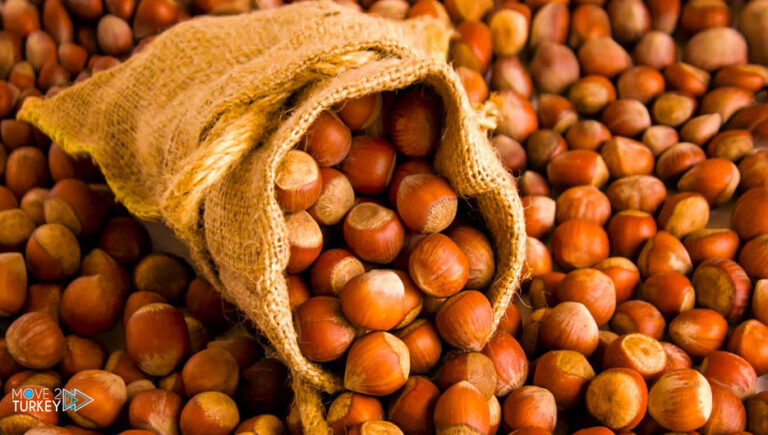 Turkey earns $1.9 billion from hazelnut exports