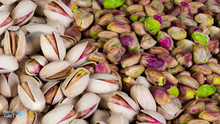 Turkey earns $146 million from pistachio exports in 9 months