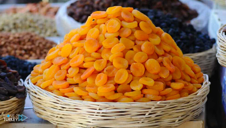 Turkey’s Malatya exports dried apricots for $78 million in two months