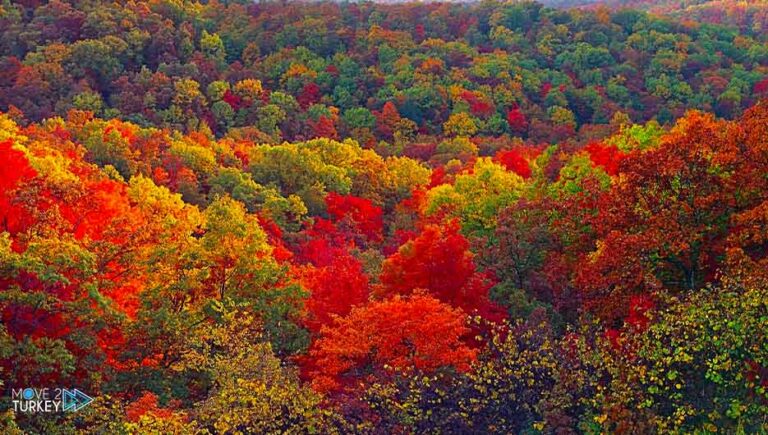 Magical autumn scenes in western Turkey