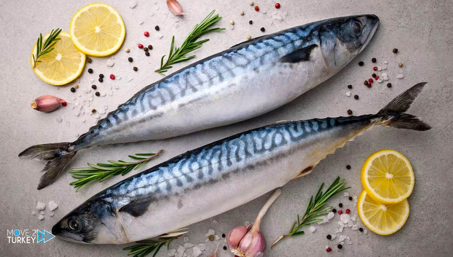 Turkish Academic Professor Sevim Kouse: Fish.. food and medicine