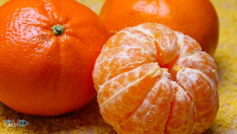 Turkey is expecting $650 million in tangerine exports