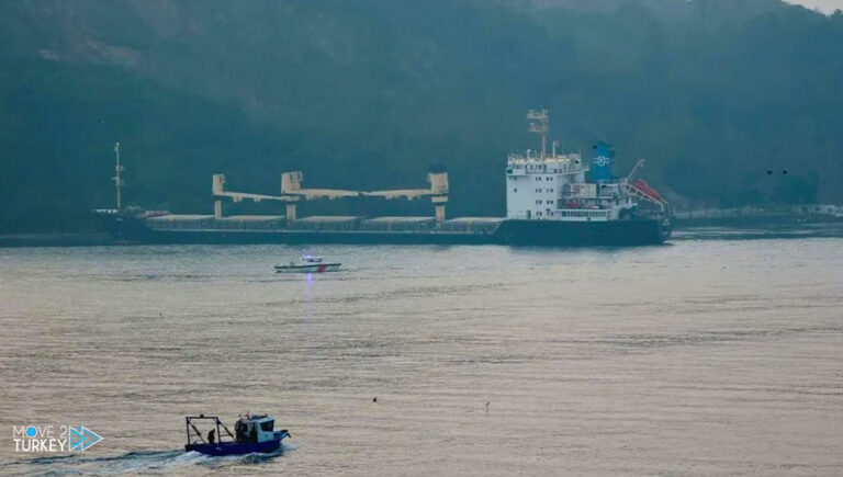 Temporary suspension of ship traffic in the Bosphorus Strait