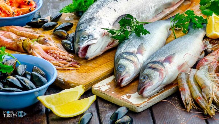 Turkey’s aquatic product export revenues reach $1.4 billion