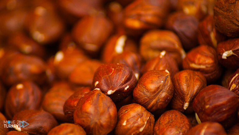 Turkish hazelnut exports exceed one billion dollars in months