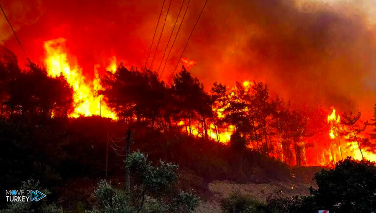 Turkey: Forest Fires Under Control in Hatay, Bursa, and Edirne