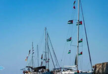 Turkish activist in the “Resilience Flotilla”: We hope to reach Gaza