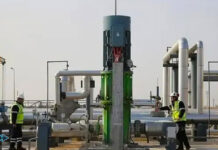 مسؤول دولي: تركيا أحرزت تقدماً كبيراً في الطاقة المتجددة